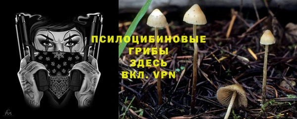 дурь Арсеньев