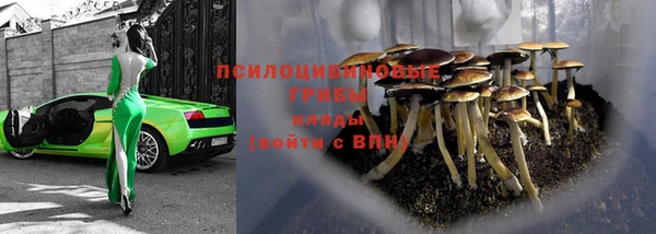 не бодяженный Переславль-Залесский
