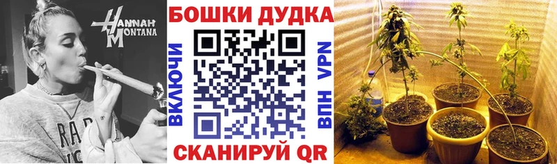 Бошки марихуана гибрид  Медногорск 